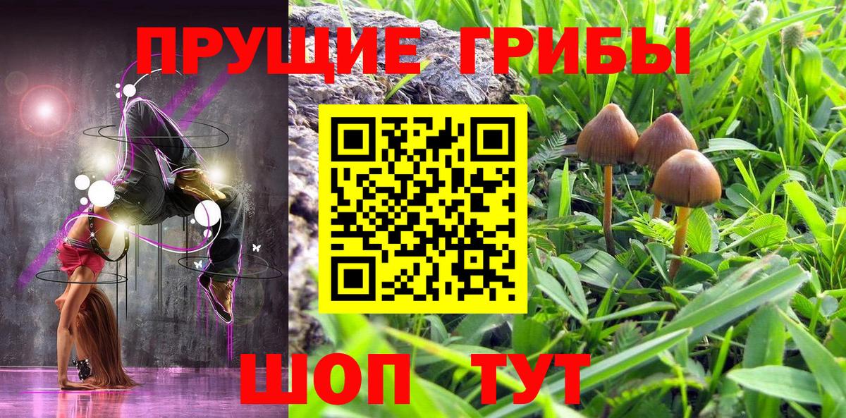 Кирово-Чепецк  Галлюциногенные грибы Cubensis  Вход с VPN 