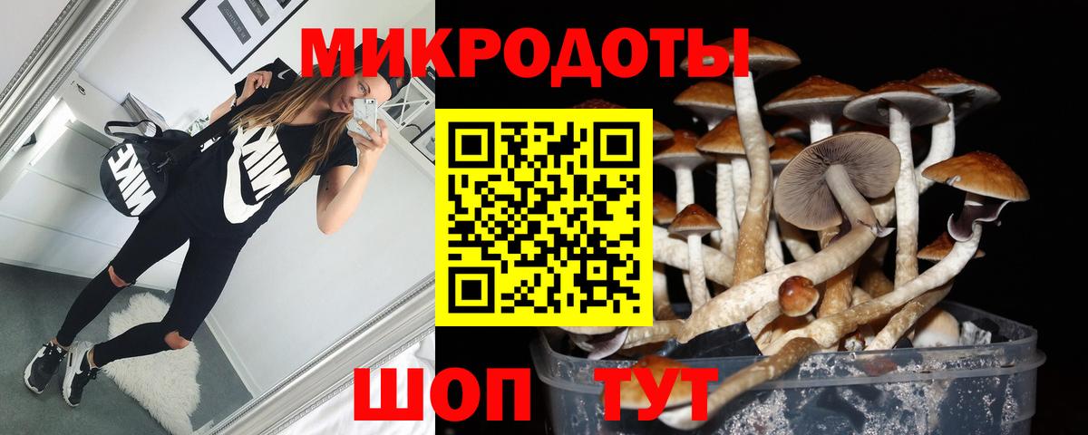 Галлюциногенные грибы мицелий Кирово-Чепецк